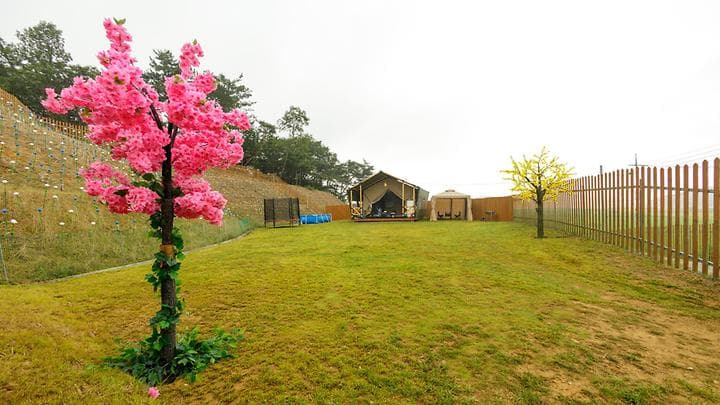 도그팰리스 애견동반글램핑